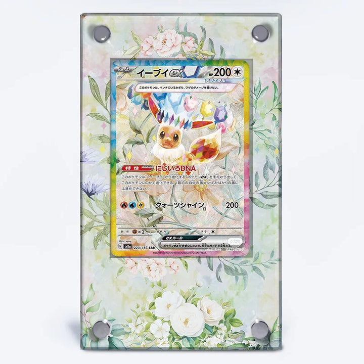 Eevee EX 167/131 Extended Art Display